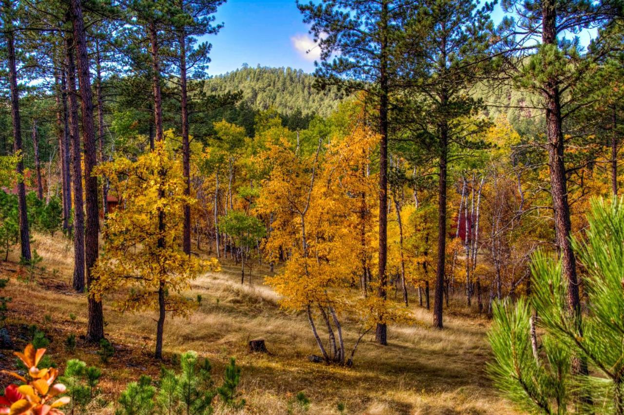 Vila Yak Ridge Cabins And Farmstead By Mount Rushmore Keystone Exteriér fotografie